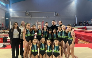 7 et 8 février - GAM/GAF Championnat départemental par équipe