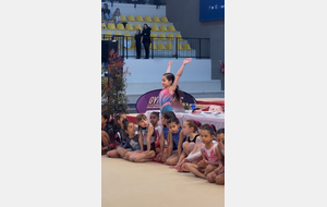 28 et 29 mars 2026 - compétition régionale individuelle Gaf Nevers