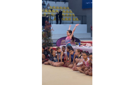 28 et 29 mars 2026 - compétition régionale individuelle Gaf Nevers